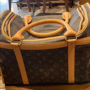 Louis vuitton dog carrier